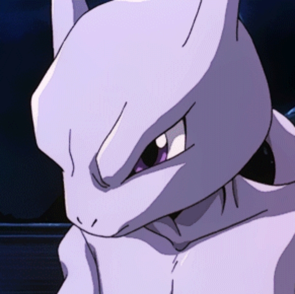 Meet your Posher, Logan - Picture 2 of 2